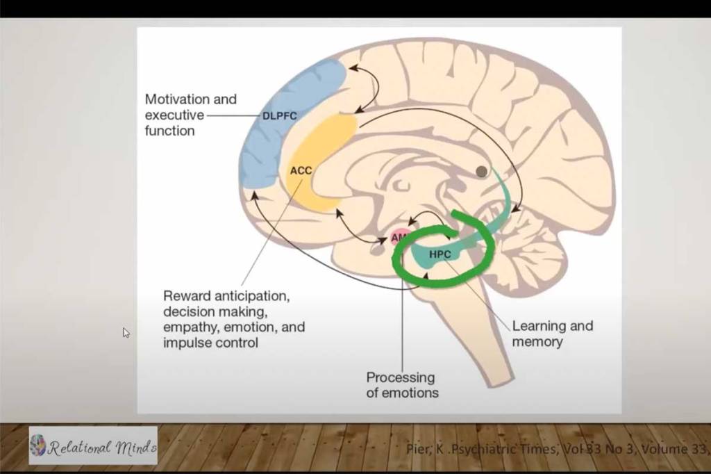 How can we better understand and support complex&nbsp;behaviour